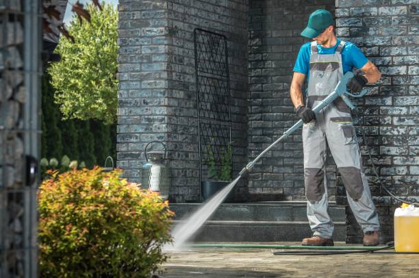 Animal Enclosure Cleaning in Vernon, AL